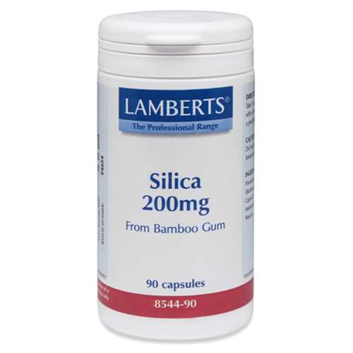 Lamberts Silica 200mg (90)