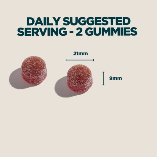 Reishi Gummies - 60gummies - Mixed Berry