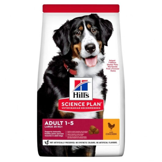 Hill's Science Plan Large Adult Dry Dog Food Chicken
