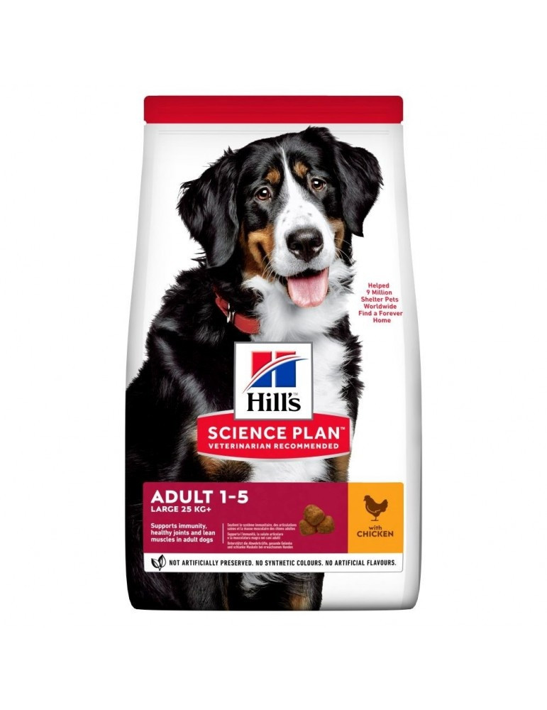 Hill's Science Plan Large Adult Dry Dog Food Chicken