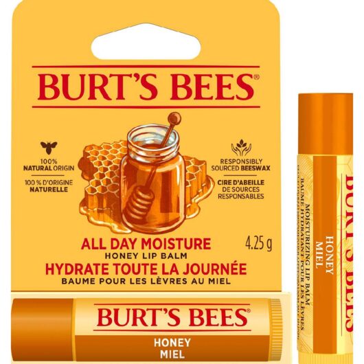 Burt's Bees Honey Lip Balm, 4.25g
