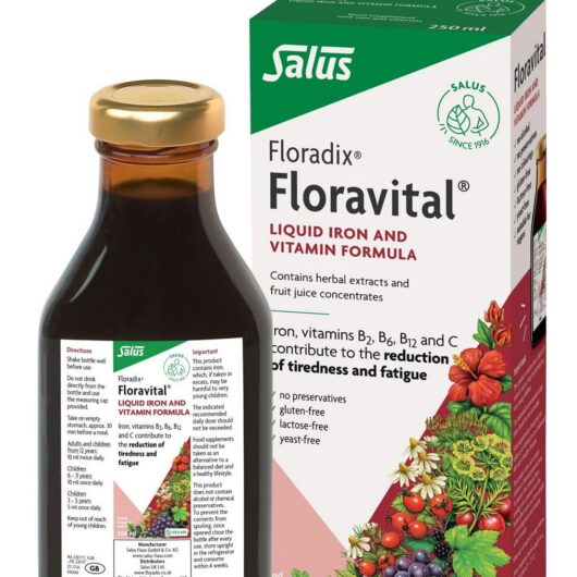 Floradix Floravital Liquid Iron And Vitamin Formula 500ml