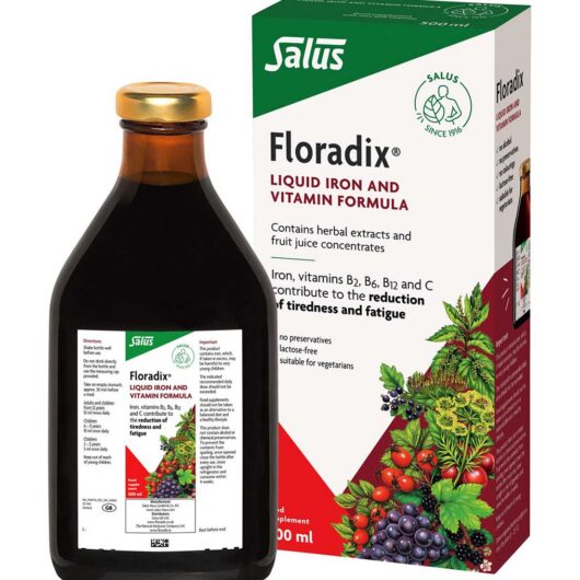 Floradix Formula Liquid Iron & Vitamins 500ml