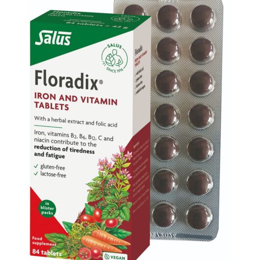 Floradix Iron & Tablets 84S