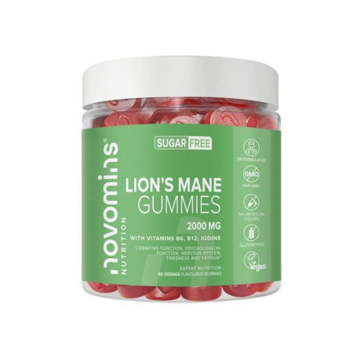 Novomins Lions Mane Gummies Orange Flavour 60S