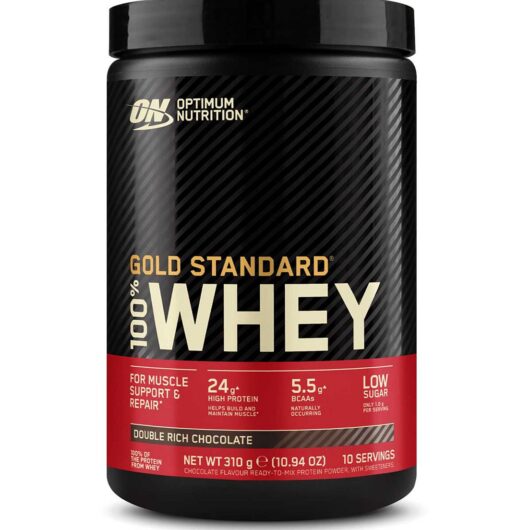 Optimum Nutrition Gold Standard Whey Protein Double Rich Choc 300g