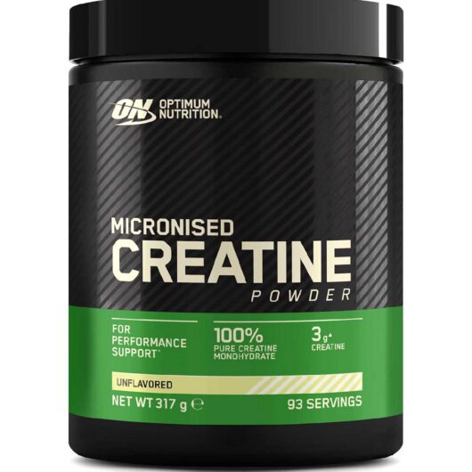 Optimum Nutrition Micronised Creatine - 317g